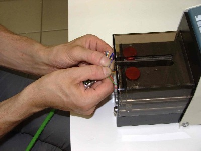 Spelafili